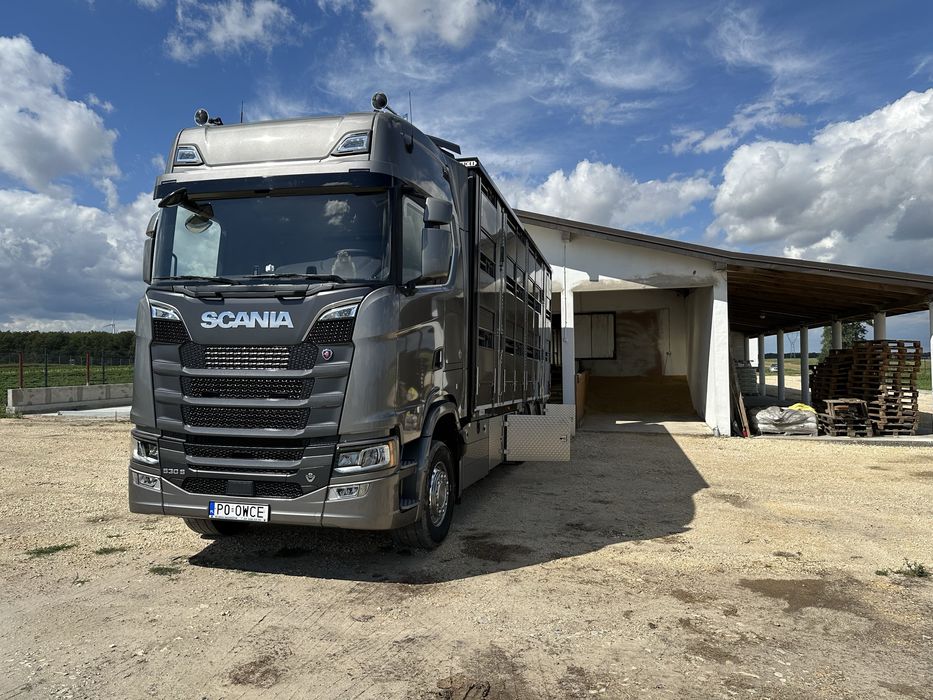 Jagnięta owce TRANSPORT do RZEŹNI na CHÓW