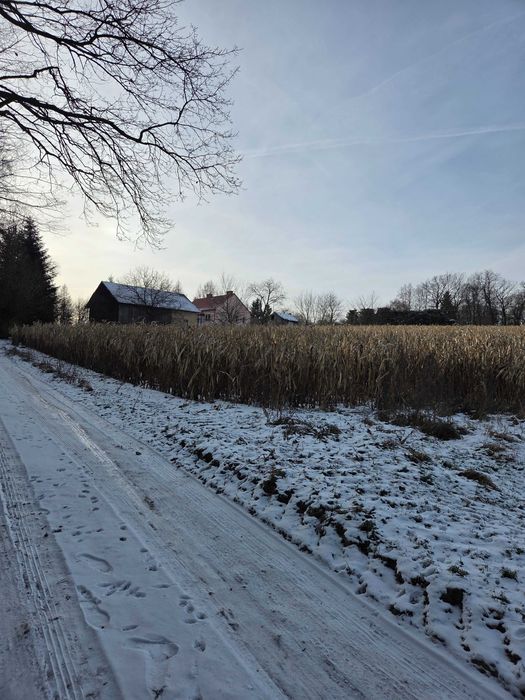 Sprzedam działkę 64,5 ara w Rawalowicach