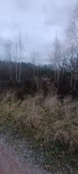 Продам земельну ділянку Іванівка.