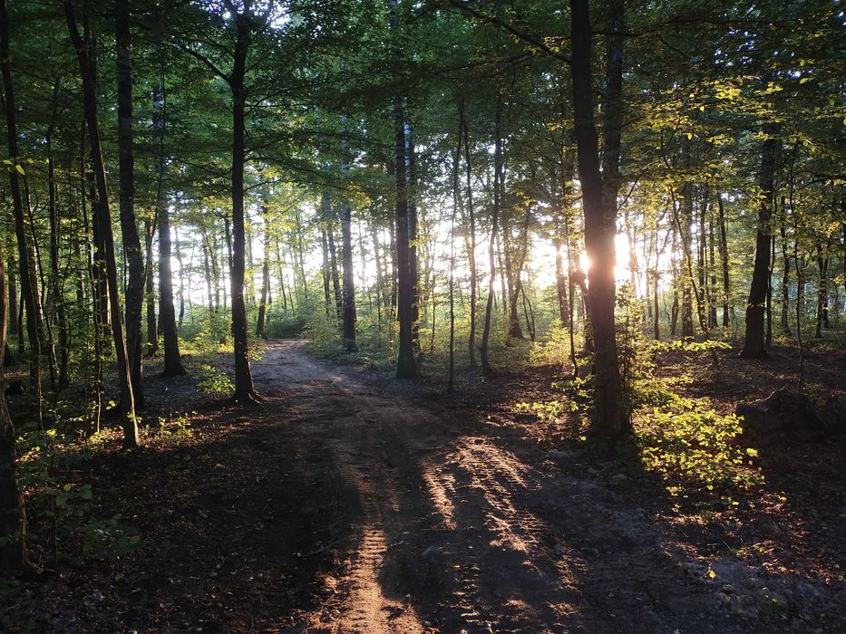 Domek nad morzem, ogrodzony z klimatyzacją