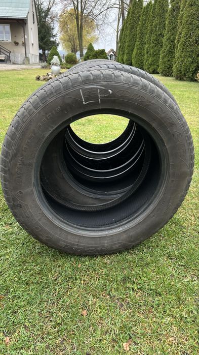 Opony Goodyear Eagle F1 Run Flat 255/55 R18