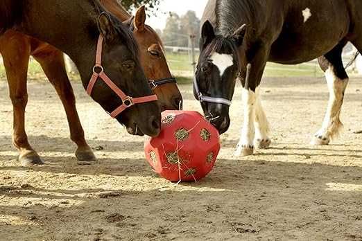 Piłka do zabawy dla konia HeuBoy, 40 cm, różowy, Kerbl