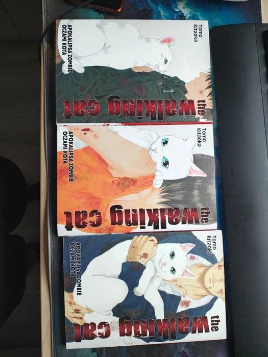 Mangi apokalipsa zombie oczami kota