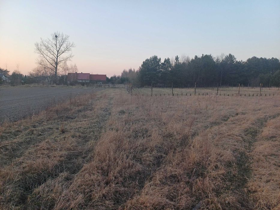 Zdjęcie 3