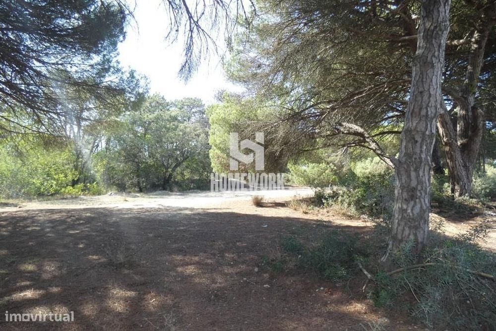 Terreno em fase de urbanização na Costa da Caparica