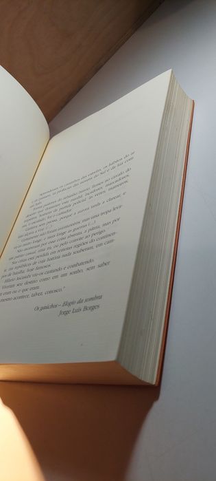 A Casa das Sete Mulheres - Leticia Wierzchowski
