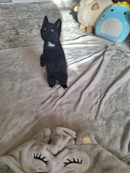 Хлопчик в хороші руки