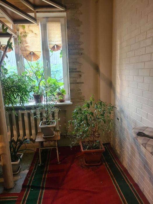 Дом в Фонтанке на два входа!