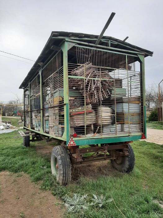 Пасіка на колесах.