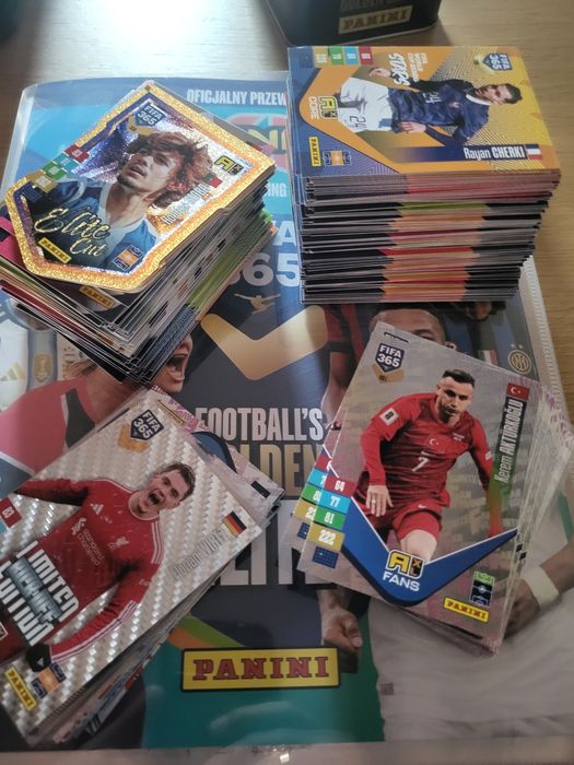 Karty Panini Fifa 365 2027