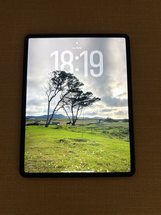 iPad Pro 12.9’’ 3.ª Geração 256G wifi+Celular