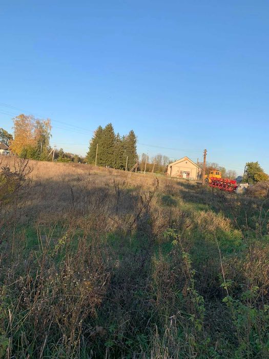 житловий будинок та земельна ділянка 46,5 сот