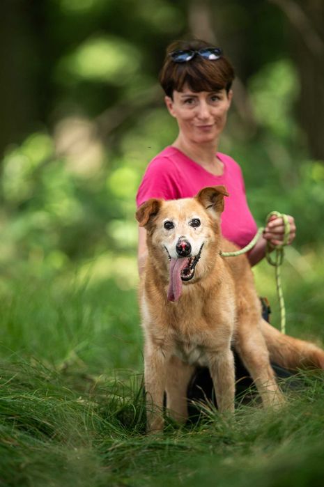 Nosek - pełen pozytywnej energii słodziak - do adopcji