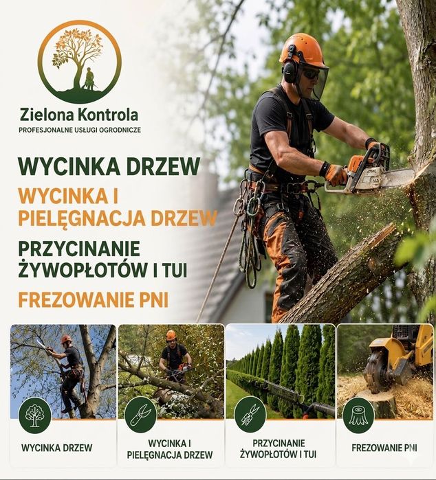 Wycinka i pielęgnacja drzew