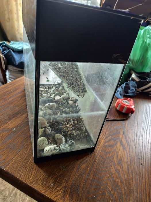 Продам черепашник