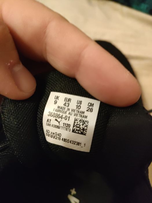 Puma.            .