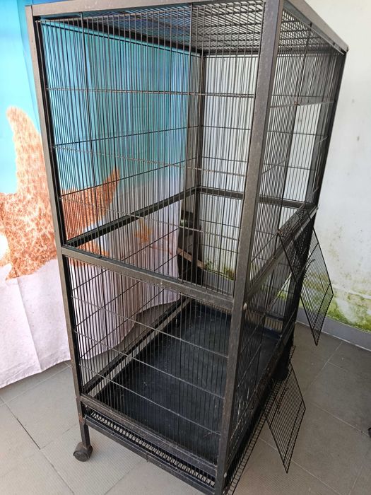 Entrego a quem vier buscar, pelo preço negociável