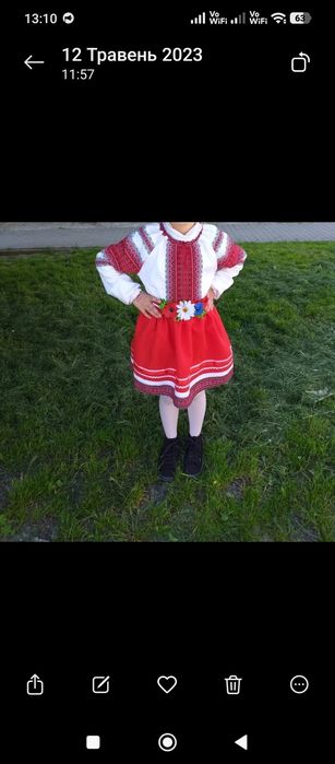 Вишиванка і спідниця