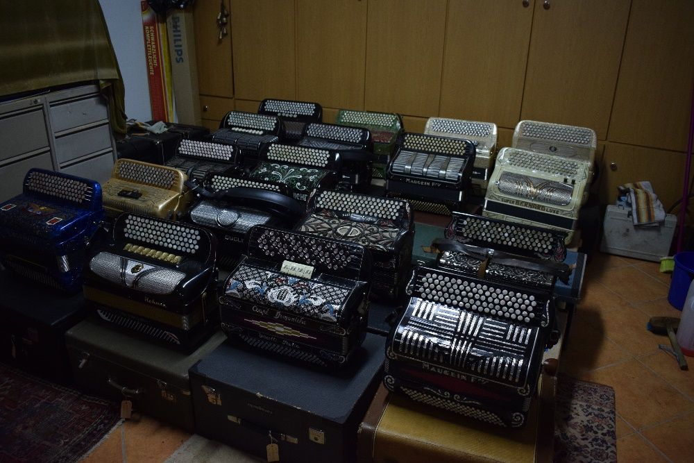 Accordion from Various Brands and Prices64173095834369122