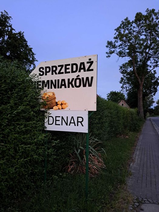 Młode ziemniaki Denar