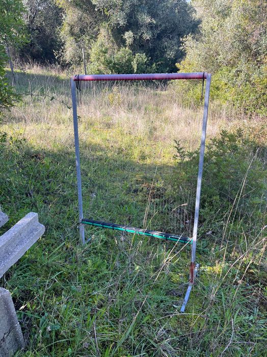 Arpas Vespa Asiática