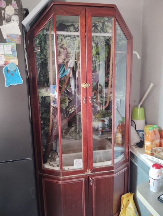 Oddam Terrarium za darmo