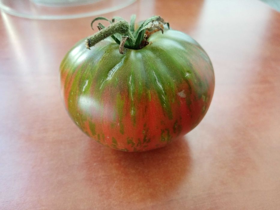 15 Sementes de Tomate Berkeley Tie Dye