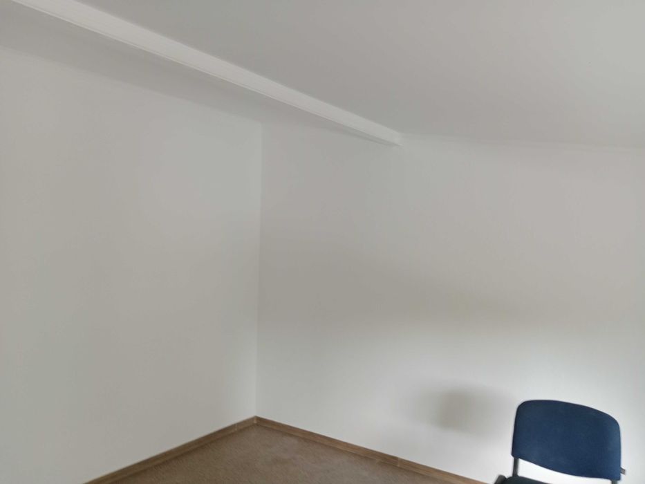 Ремонтні роботи(малярно-штукатурні)