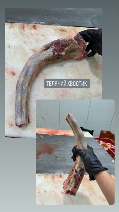 Мʼясо для собак . Яловичина