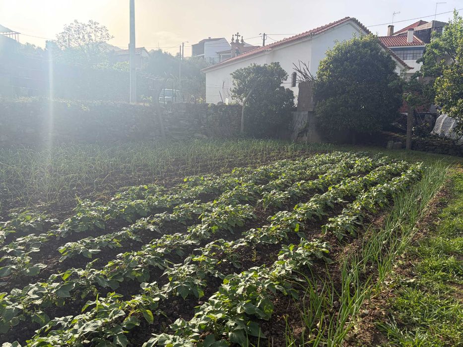 Terreno Ubano/Rural em Meireles, Vilas Boas