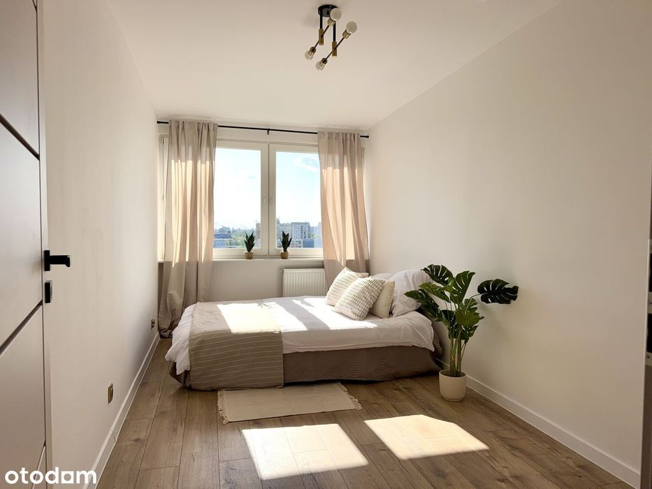 3 Pokoje, pełny rozkład | Oddzielna kuchnia | Balkon | Bez prowizji !