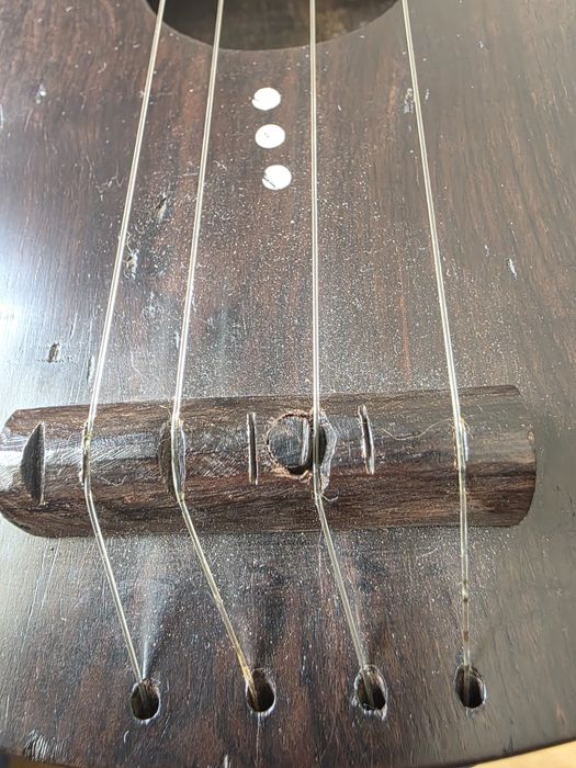 Guitarra em pau preto.