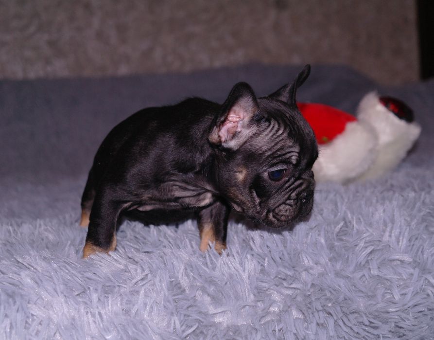 Балибейчик ждёт Вас