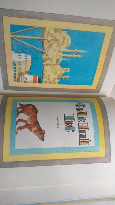 Капитан Крокус, Соленый пес     Федор Кнорре