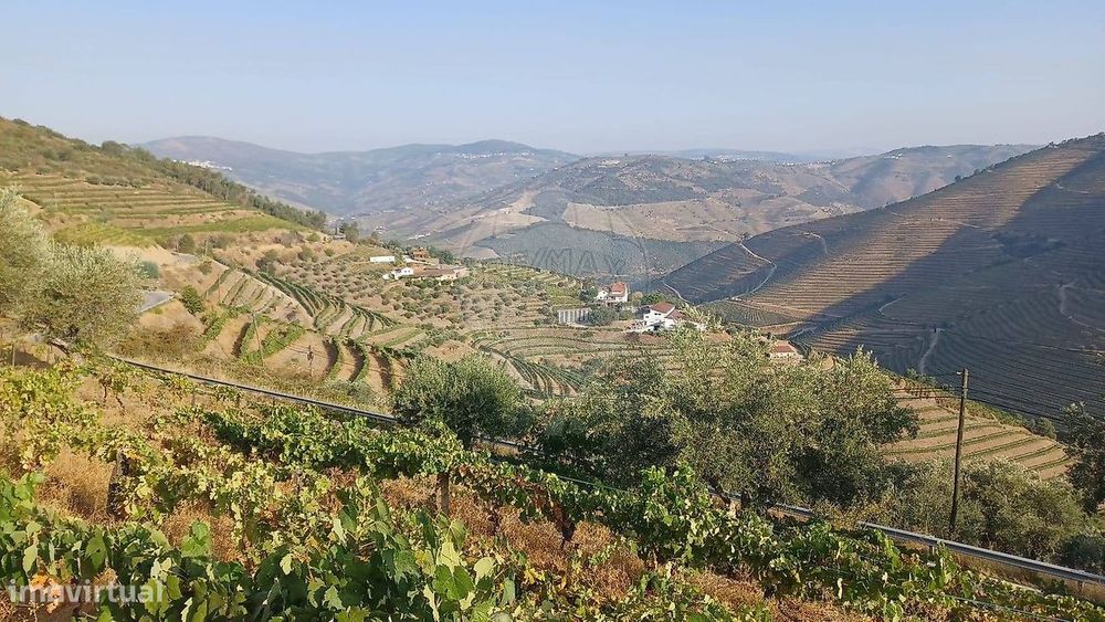 Quinta  para venda
