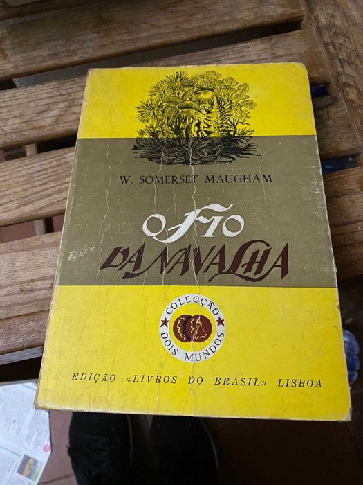 livro o fio da navalha