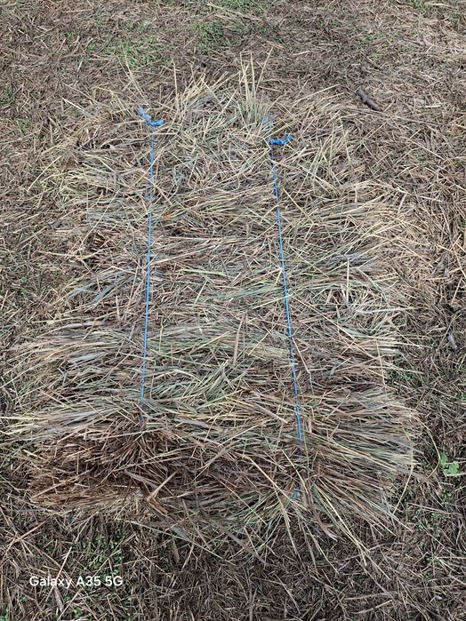 Сіно в тюках урожай 2025 р