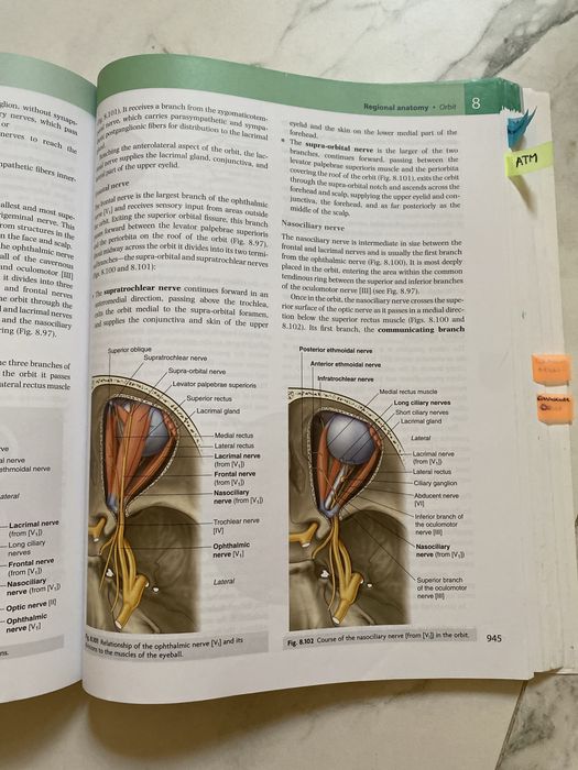 Livro técnico - Gray's Anatomy for Students 3rd Edition