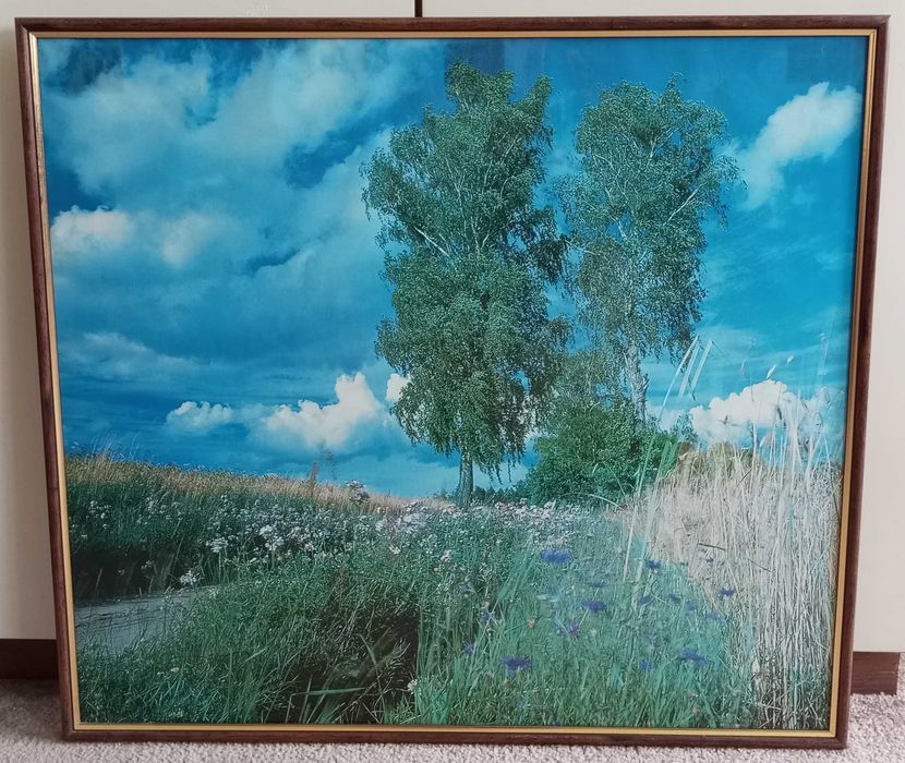 dwa obrazy (duże) 62cm x 69,5cm