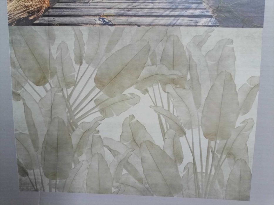 Fototapeta XXL 360x255 cm OKAZJA