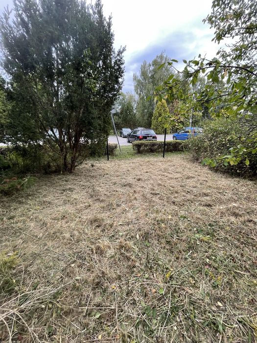 Koszenie, przycinanie  - prace porządkowe