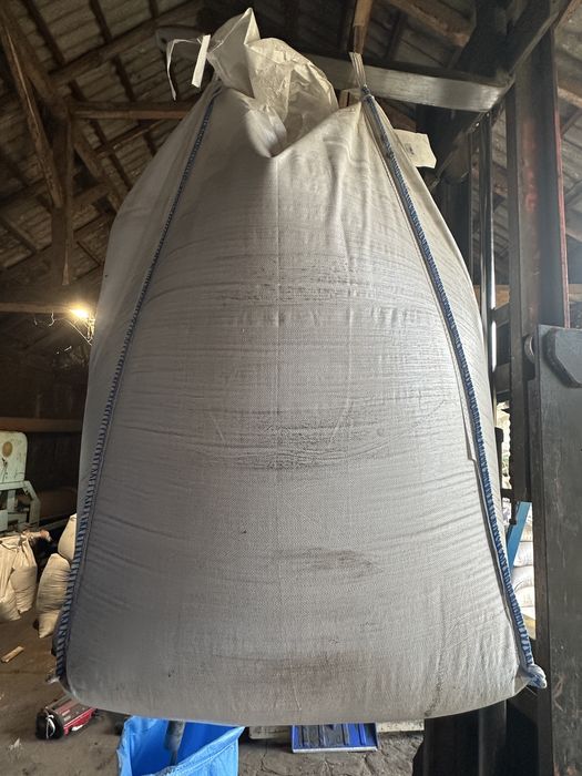 Oddam big bagi za darmo