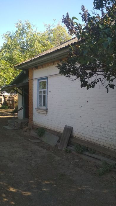 Продається будинок з великою ділянкою в мальовничому селі Чернігівщини
