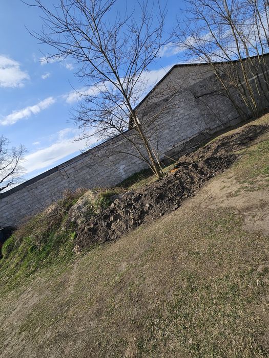 Oddam ziemię za darmo