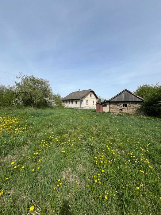 Продаж будинку в Єзуполі