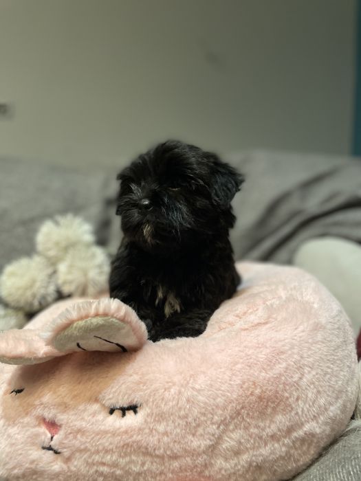 Alma- śliczna dziewczynka