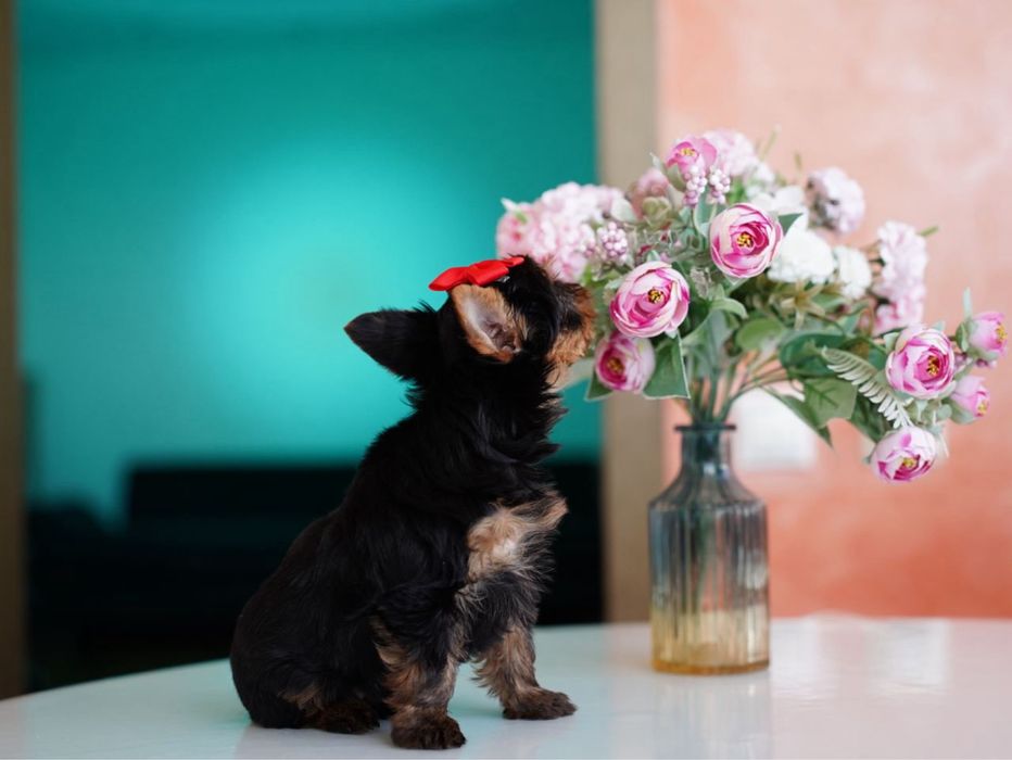 Самые красивые девочки и мальчики