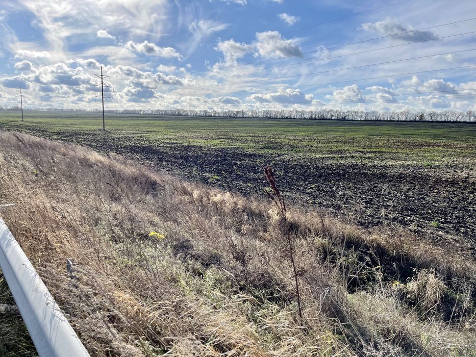 Продам ділянку землі 0.31 га.