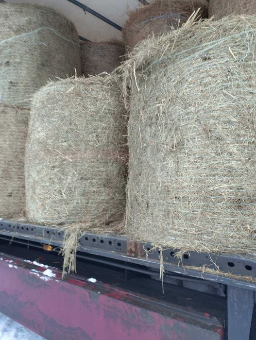 słoma, Siano, sianokiszonka, bele
