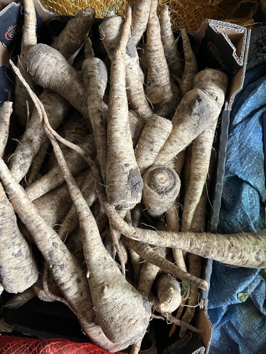 Świeże Warzywa dla Gastronomii Sklepów i Kebabów